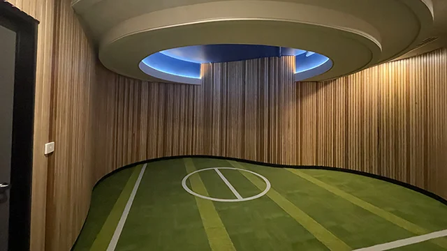 Spacious room with skylight and sports-themed carpeting