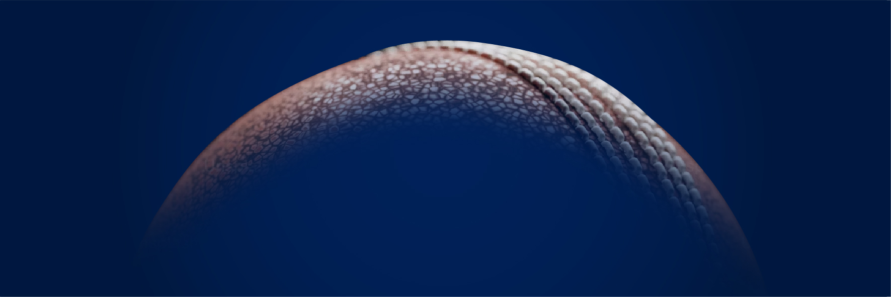 2025 MCC Library Cricket Series